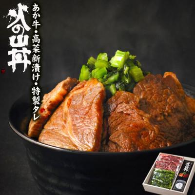 ふるさと納税 阿蘇市 くまもとあか牛 火の山丼ふるさとセット(くまもとあか牛スライス・特製タレ・阿蘇高菜漬け)