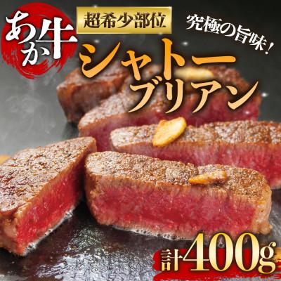 ふるさと納税 阿蘇市 熊本の大自然で育まれたくまもとあか牛の上質部位シャトーブリアンステーキ肉 約200g×2枚