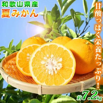ふるさと納税 由良町 夏みかん 7.2kg