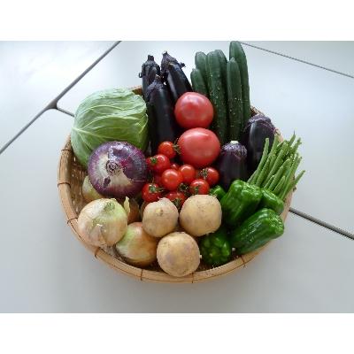 ふるさと納税 河南町 季節のお野菜詰め合わせ / 季節野菜 詰合せ セット 道の駅 大阪府 特産品