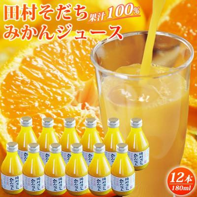ふるさと納税 由良町 果汁100% 田村そだちみかんジュース 180ml×12本