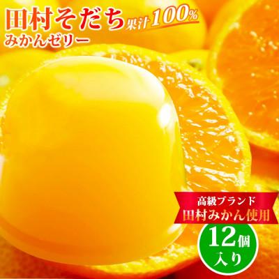 ふるさと納税 由良町 濃厚!田村そだちみかんゼリー 12個