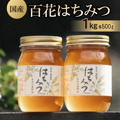 【週末限定値引き】国産純粋 百花蜂蜜 3本セット ふるさと納税 南伊勢町 国産 百花はちみつ500g×2本セット 長谷川養蜂