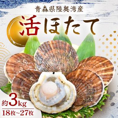 ふるさと納税 野辺地町 活ほたて 約3kg(18枚〜27枚) 青森県陸奥湾産
