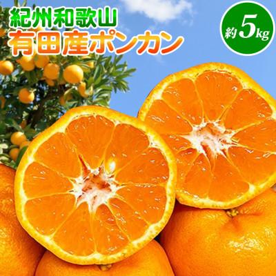 ふるさと納税 湯浅町 [先行受付]紀州和歌山有田産ポンカン 5kg[湯浅町]