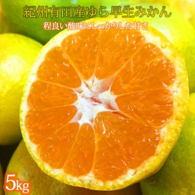 ふるさと納税 由良町 紀州和歌山有田産ゆら早生みかん 5kg【由良町