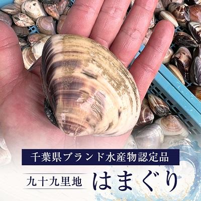 ふるさと納税 旭市 某TV番組で全国一位に!九十九里産　大粒活はまぐり　約1.5kg |  | 01