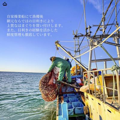 ふるさと納税 旭市 某TV番組で全国一位に!九十九里産　大粒活はまぐり　約1.5kg |  | 02