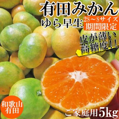 ふるさと納税 湯浅町 先行受付[ご家庭用 極早生]和歌山有田ゆら早生みかん約5kg(SS、Sサイズいずれか)[湯浅町]