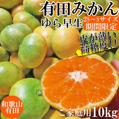 ふるさと納税 湯浅町 先行受付[ご家庭用 極早生]和歌山有田ゆら早生みかん約10kg(SS、Sサイズ)[湯浅町]