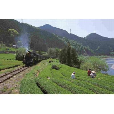 ふるさと納税 川根本町 【坂本園】静岡川根茶八十八夜摘み煎茶100g×3本 |  | 03
