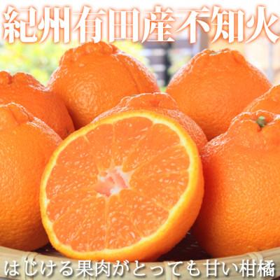 ふるさと納税 由良町 [ご家庭用訳有り]紀州有田産不知火(しらぬひ) 約8.5kg