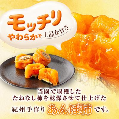 ふるさと納税 橋本市 あんぽ柿【先行受付】柳フルーツ園「紀州手作り　あんぽ柿」16個入り |  | 01