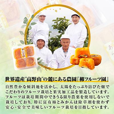 ふるさと納税 橋本市 あんぽ柿【先行受付】柳フルーツ園「紀州手作り　あんぽ柿」16個入り |  | 03