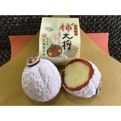 ふるさと納税 苓北町 柿“大将どら焼き2種セット