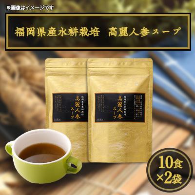 ふるさと納税 粕屋町 福岡県産水耕栽培 高麗人参スープ 10食×2袋セット