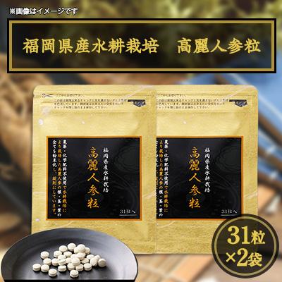 ふるさと納税 粕屋町 福岡県産水耕栽培 高麗人参粒 31粒入×2袋セット