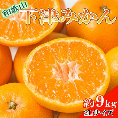 ふるさと納税 すさみ町 [産直・秀品]和歌山下津みかん約9kg(2Lサイズ)(すさみ町)[tec869A]