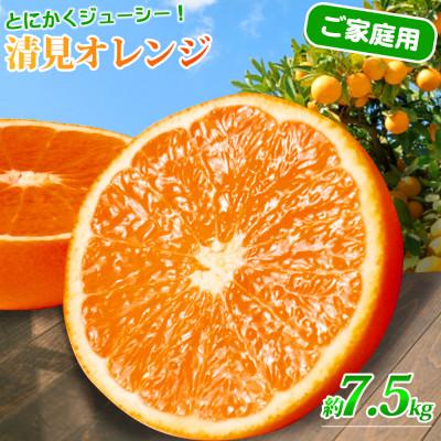 ふるさと納税 日高町 [2027年4月より発送][ご家庭用訳アリ]紀州有田産清見オレンジ 7.5kg[日高町]