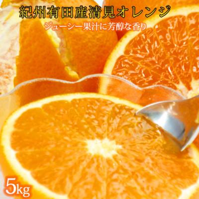 ふるさと納税 日高町 [2027年4月より発送]とにかくジューシー清見オレンジ 5kg[日高町]