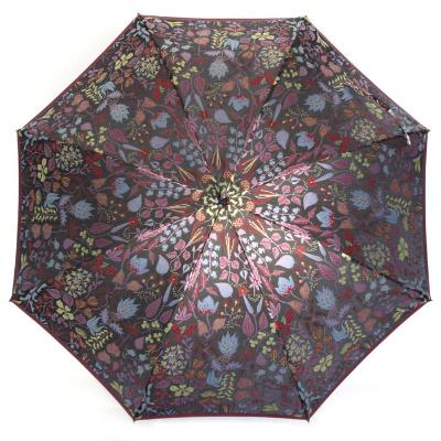 ふるさと納税 富士河口湖町 槙田商店【晴雨兼用】長傘 スティグ リンドベリ【HERBARIUM】(ハーバリウム) 赤の画像