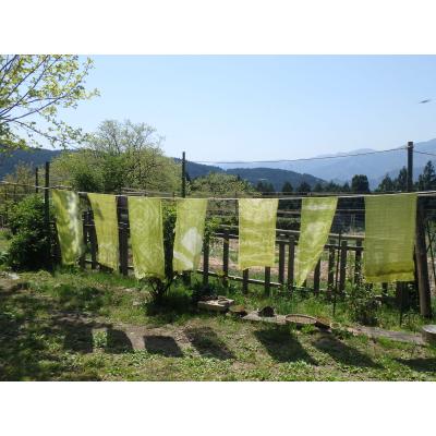 ふるさと納税 川根本町 自然体験 静岡 いつでもおいで四季の郷 川根本町 自然体験プログラム