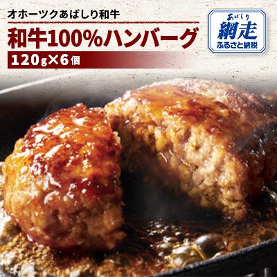 ふるさと納税 網走市 [オホーツクあばしり和牛]和牛100%ハンバーグ 120g×6個&lt;網走産&gt;
