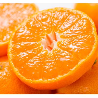 ふるさと納税 湯浅町 有田みかん 味暦ブランド[サイズ混合]秀品5kg/薄皮で甘い美味しいみかん/紀伊国屋文左衛門本舗