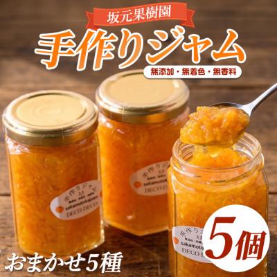 ふるさと納税 指宿市 みかん農家坂元さんちの手作りジャム5個セット(無添加・無着色・無香料) (IB043-001)