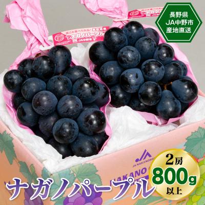 ふるさと納税 中野市 【2027年先行受付】　8月中旬〜9月中旬お届けJA中野市産地直送!ナガノパープル2房800g以上 | 