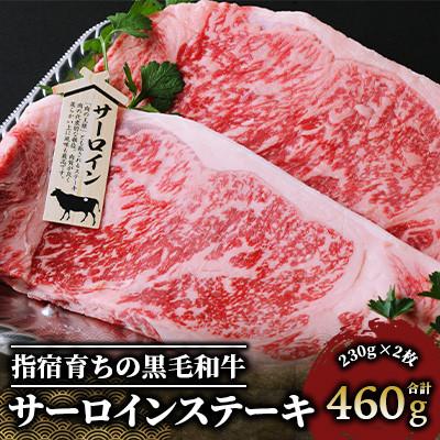 ふるさと納税 指宿市 [指宿育ち]黒毛和牛 サーロインステーキ230g×2枚(037-1183)
