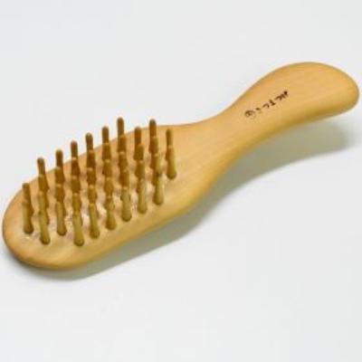 ふるさと納税 指宿市 [実用新案登録済]薩摩つげブラシ(ミニ5列)※約15.5cm(077-1122)