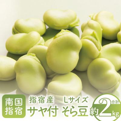 ふるさと納税 指宿市 [2026年1月中旬〜発送]指宿産 サヤ付 そらまめ Lサイズ 約2kg(A-129)