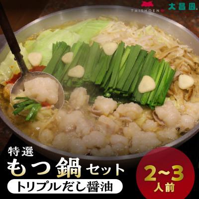 ふるさと納税 久留米市 久留米市 大昌園「もつ鍋セット・トリプルだし醤油2〜3人前/特製辛味調味料付き」