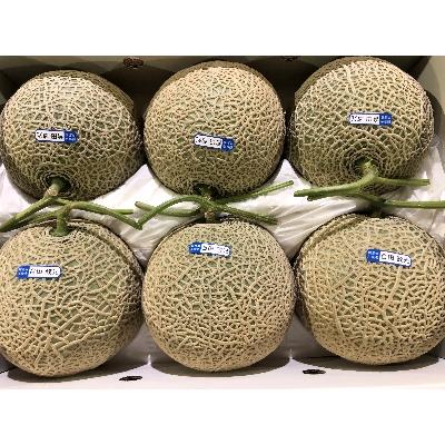 ふるさと納税 観音寺市 銭形メロン 4〜6玉入り