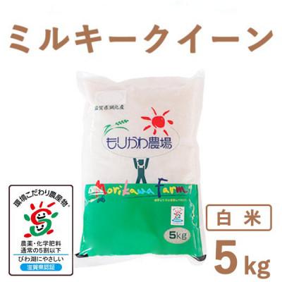 ふるさと納税 長浜市 滋賀県産 低農薬栽培 ミルキークイーン 白米5kg 令和7年産