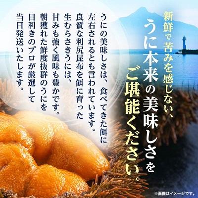 ふるさと納税 稚内市 【先行予約】【厳選PREMIUM】美味しいウニは昆布の名産地にあり!生むらさきうに120g |  | 01