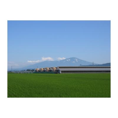 ふるさと納税 酒田市 平田牧場三元豚ロース・バラしゃぶしゃぶセット |  | 02