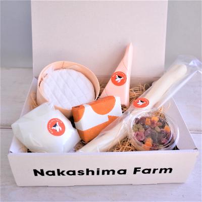 ふるさと納税 嬉野市 世界的大会で銅賞のチーズ入り ナカシマファームのできたてチーズセット(6種入り)