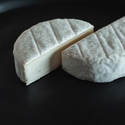 ふるさと納税 嬉野市 世界的大会で銅賞のチーズ入り　ナカシマファームのできたてチーズセット(6種入り) |  | 02