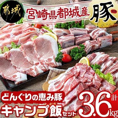ふるさと納税 都城市 【宮崎県　都城市産】「どんぐりの恵み豚」キャンプ飯3.6kgセット | 