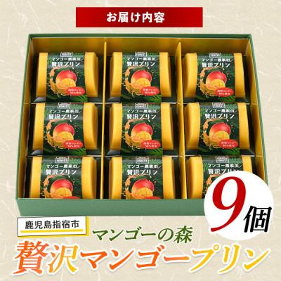 ふるさと納税 指宿市 マンゴー農家の贅沢マンゴープリン9個入(マンゴー