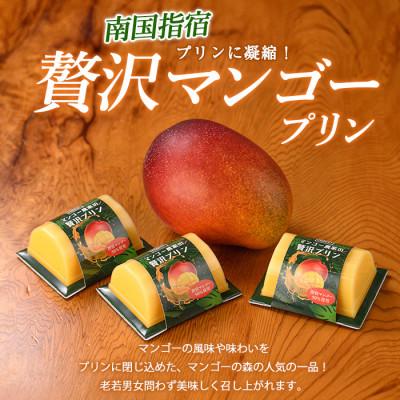 マンゴー詰め合わせ S.M.L 5個入り 食品