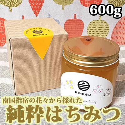 ふるさと納税 指宿市 南国指宿の花々から採れた純粋はちみつ600g(鶴田養蜂場)A-132