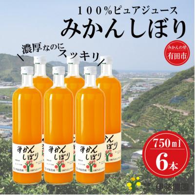 ふるさと納税 有田市 100%ピュアジュースみかんしぼり750ml×6本