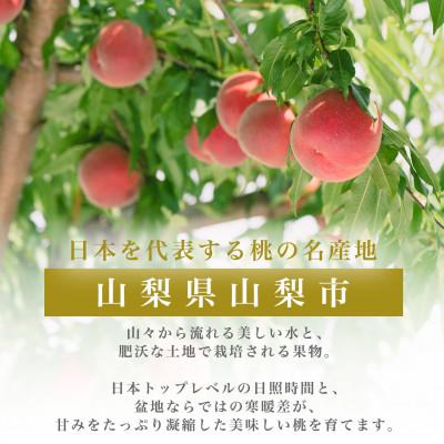 ふるさと納税 山梨市 2026年発送 約2kg 完熟 桃 とろける甘み YAMANASHI PRIDE (5〜8玉)の画像
