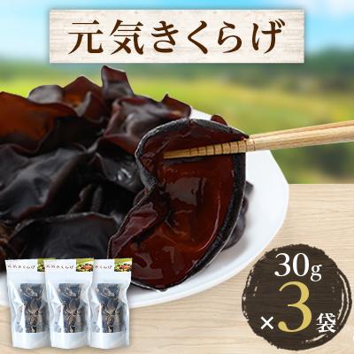 ふるさと納税 水上村 元気きくらげ 3袋