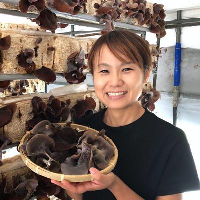 ふるさと納税 水上村 元気きくらげ　3袋_3