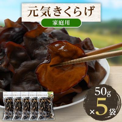 ふるさと納税 水上村 元気きくらげ(家庭用)5袋