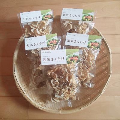 ふるさと納税 水上村 乾燥白いきくらげ(家庭用)
